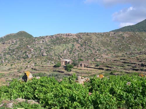 Pantelleria dammuso
