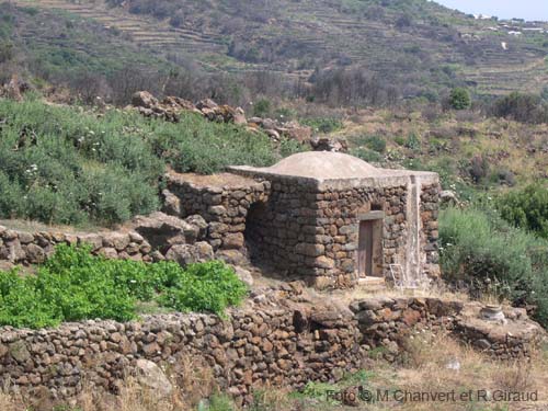 Pantelleria dammuso