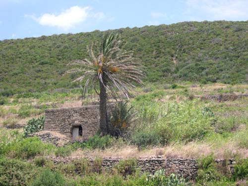 Pantelleria dammuso