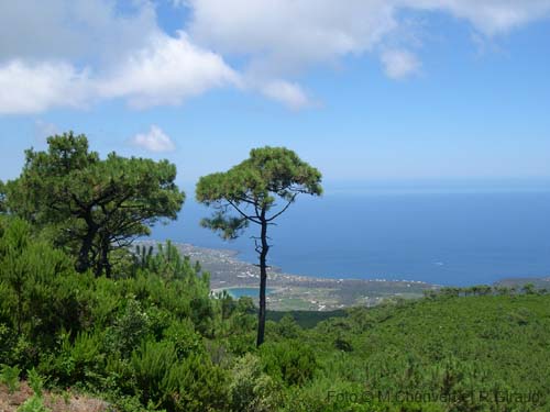 Pantelleria panorama