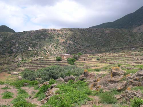 Pantelleria dammuso