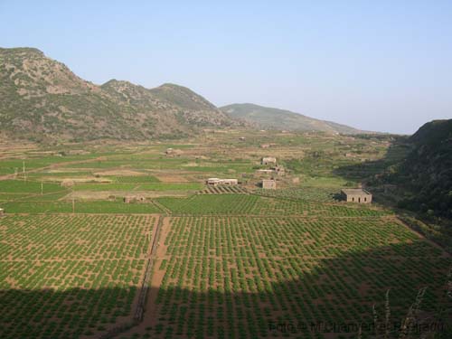 Pantelleria panorama