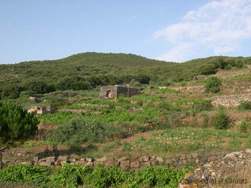 Pantelleria dammuso