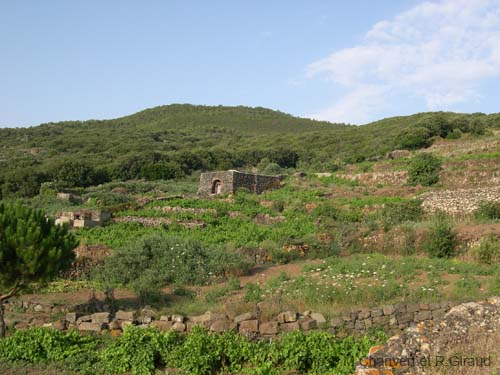 Pantelleria dammuso