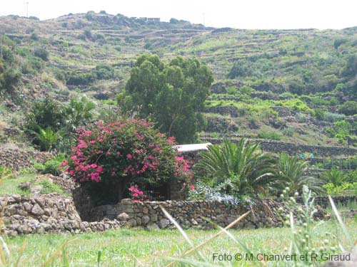 Pantelleria dammuso