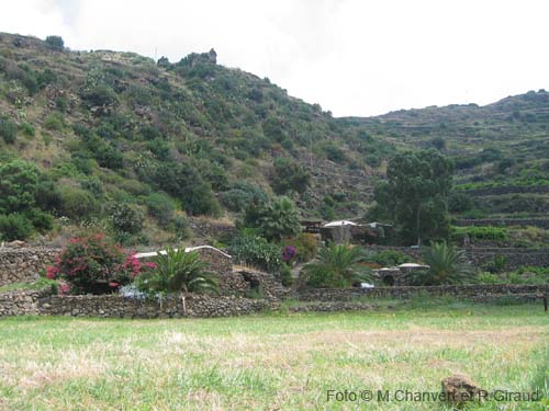 Pantelleria dammuso