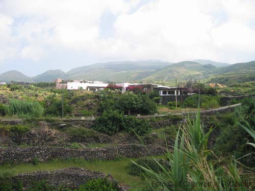 Pantelleria dammuso