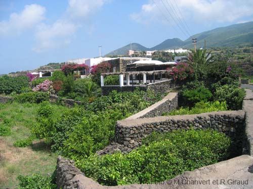 Pantelleria dammuso