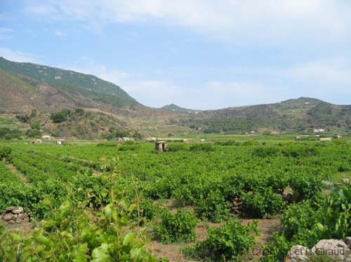 Pantelleria panorama