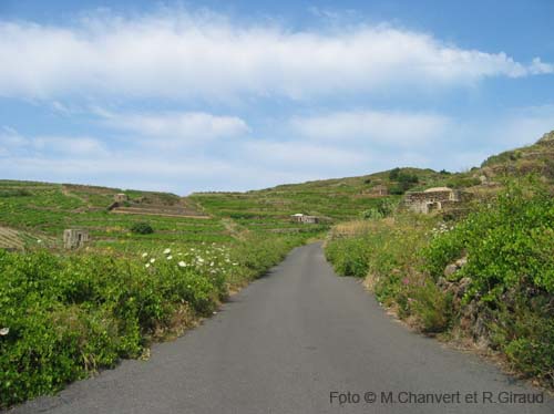 Pantelleria panorama