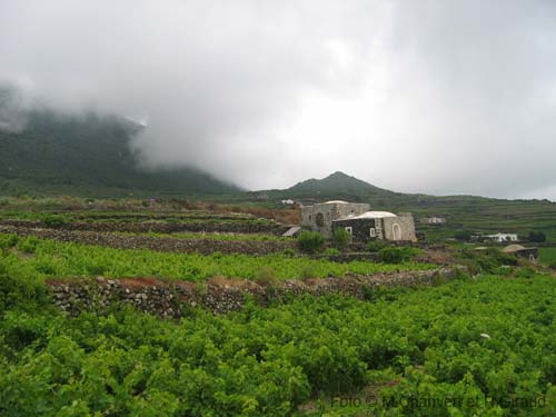 Pantelleria dammuso