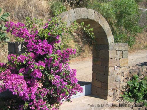 Pantelleria dammuso