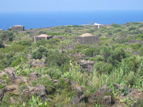 Pantelleria dammuso