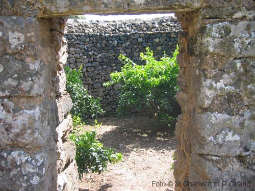 Pantelleria giardino