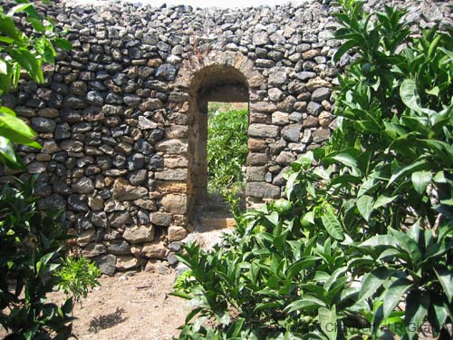 Pantelleria giardino