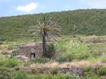 DSCN0041