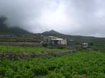DSCN0045