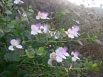 DSCN0095