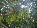 DSCN0224